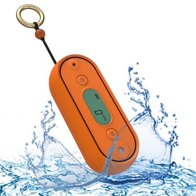 IP67 Handheld Portable Carbon Monoxide Alarm CO Gas Detector Untuk Garasi Basement