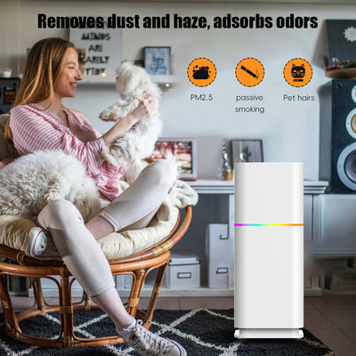 Good price ODM HEPA Pembersih debu kamar Pembersih udara hunian 240V Untuk PM2.5 on line