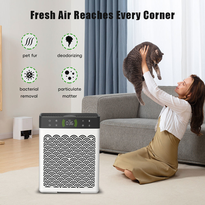 Good price OEM Dehumidifier Indoor Dan Purifier Udara Kotoran Kucing Dan Deodorizer Urin Anjing on line